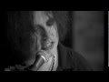 Lovecats (acoustic/unplugged) - The Cure