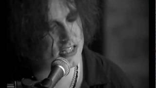 Lovecats (acoustic/unplugged) - The Cure