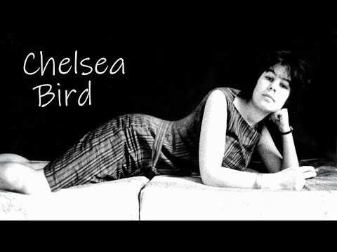 Cash in the Celebrity Attic – Virginia Ironside