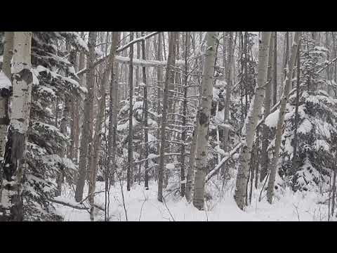 MT 6:1-6, 16-18 "that your almsgiving may be secret."