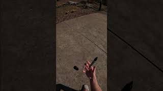 Cover art for Young Girl A