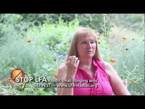 PSA Little Fire Ant-Organic Farmer