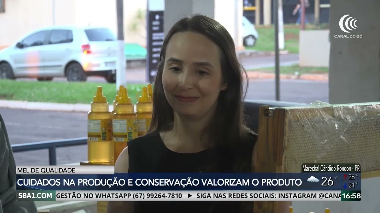 Apicultora fala sobre desafios e oportunidades da produção de mel em MS