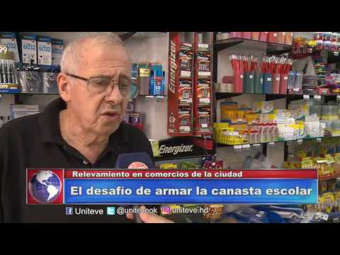 Relevamiento en comercios de la ciudad.