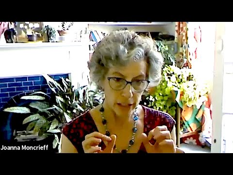 Do stimulants affect people with ADHD differently from people without ADHD? -- Dr. Joanna Moncrieff