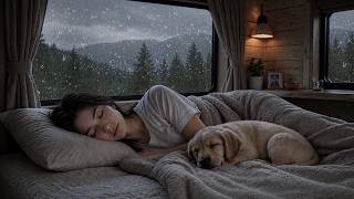 DEIXE A CHUVA CUIDAR DE VOCÊ! Barulho de Chuva com Trovões, Para Acalmar a sua Mente e Dormir Bem 🌧️