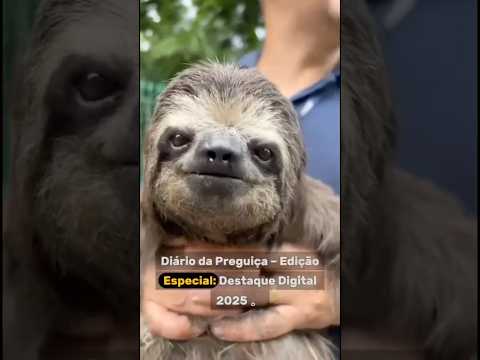 📖 Diário da Preguiça – Edição Especial: Destaque Digital 2025 🏆 #preguicabm