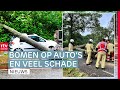 Storm Poly trekt over Drenthe en laat veel schade achter | Drenthe Nu