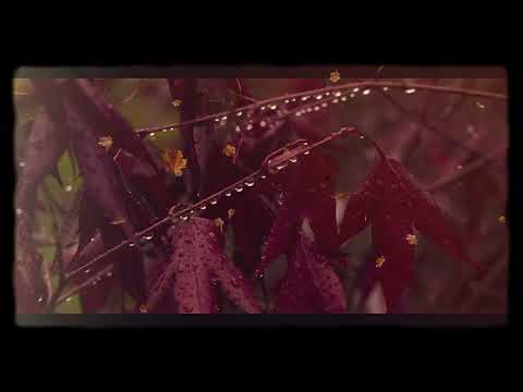 ( Cover ) Lấm Lem Êm Ấm ( Mai! Má về! ) - Hoà Minzy x Hứa Kim Tuyền