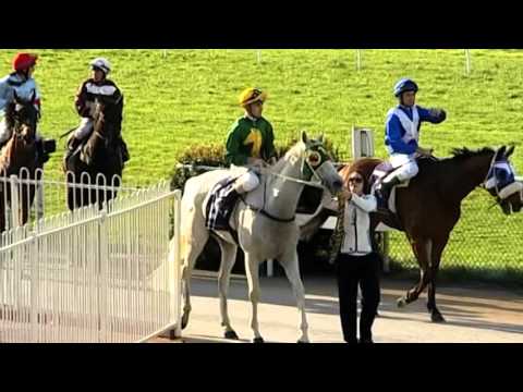 19th Sept, 2015 - Belmont - Race 7 - Military Service - Neville Parnham