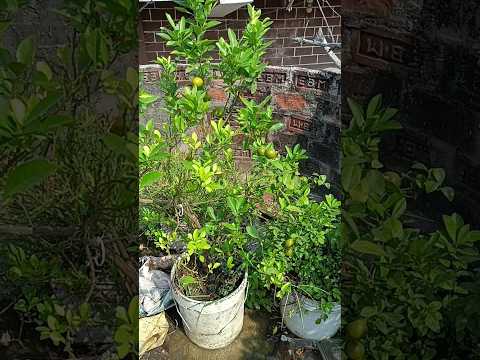 so beautiful #viral #new #love #beach