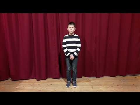 Молнар Владимир