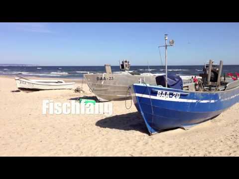 Zum Fischer - Fischrestaurant im Ostseebad Baabe