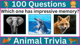 Wild Animal Abilities That Will Blow Your Mind!