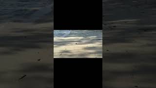 Download lagu Pasir putih menjadi saksi ... #cinta #bawean mp3