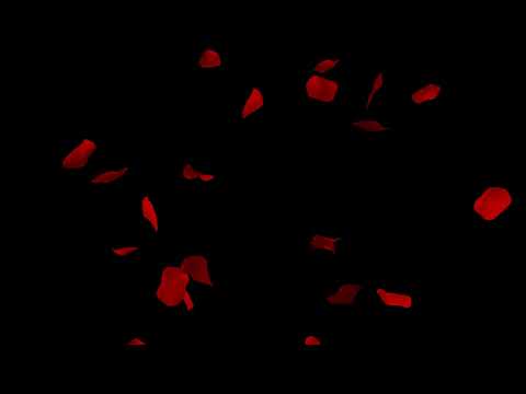 Red rose petals falling effect black background Free download overlay