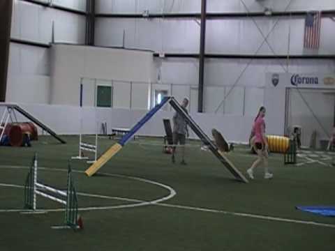 Carmylie Cascabel, Starters Standard, 06-27-09 (1st place)