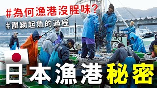 [問卦] 台灣有哪些漁港是沒有腥味的？