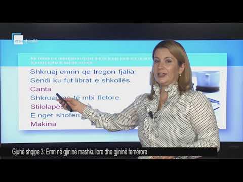 Gjuhë shqipe 3 - Emri në gjininë mashkullore dhe gjininë femërore