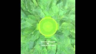White Willow - Det Omvendte Bæger (excerpt)