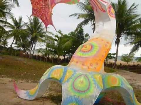 Terra Em Transe Festival (pista)