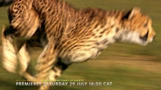 Namibia, Sanctuary of Giants (2017) Video