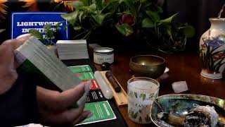 YOU ARE THE GENERATIONAL CURSE BREAKER IN YOUR BLOODLINE!!  THEY WILL NOT STOP YOU THIS TIME!!!