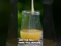 Best Honey Brands In India Is Your Honey Fake Best Honey In India