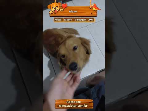 Vídeo de Alexw