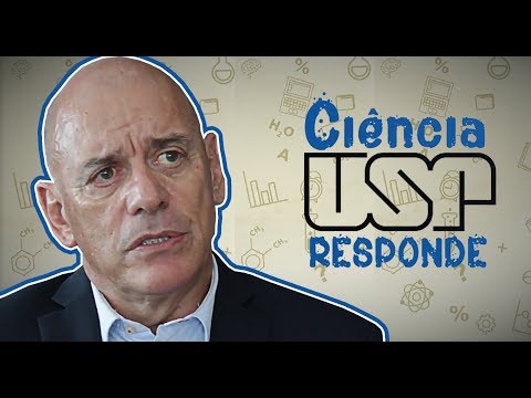 Ciência USP Responde: O que causa a dependência do álcool?