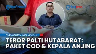 Teror Mengincar Palti Hutabarat di Deli Serdang, Dari Paket COD hingga Bangkai Anjing