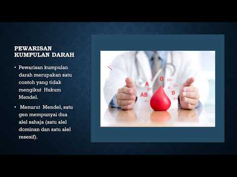 BIOLOGI TINGKATAN 5 : 11.4 PART 2 PEWARISAN MANUSIA