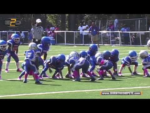 B2C: Welcome All Panthers vs Ben Hill Tigers - 6U Division