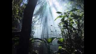 Electric Light Orchestra....... Jungle.... subtitulado en español)
