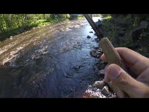 Merikarvianjoki 2019