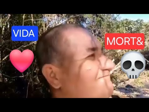 Trilha em Conceição do Castelo 💢