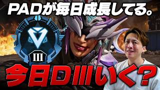 明らかに成長が見えるPADソロランク！【 APEX のったん エペ解説 】#apex #apexlegends #のったん#エペ