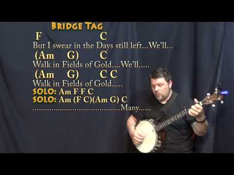 Fields of Gold (Sting) Banjo Cover Lesson in Am with Chords/Lyrics