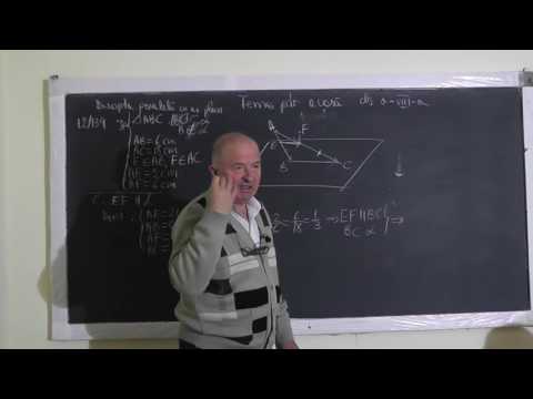 1/2 1146 Plane in spatiu Determinarea unui plan De la o problema in spatiu, la una in plan - Clasa 8