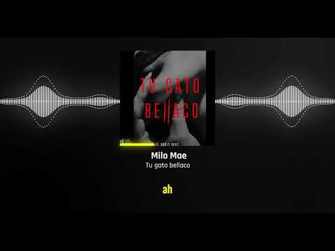Milo Mae - Tu gato bellaco (lyrics)