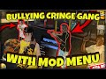 BULLYING CRINGE GANGS WITH MOD MENU (GTA 5 RP)