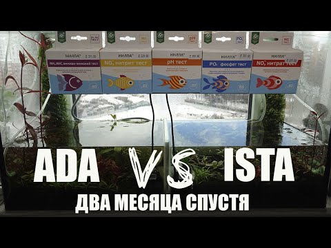 Грунт Ada против Ista два месяца спустя!