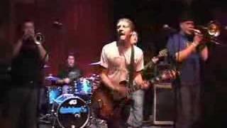 Distorted Penguins- Metuchen