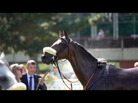 102. CPIPG České Derby  •  26 . 6.  2022