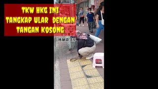 Download lagu TKW Hong Kong Pawang Ular mp3 Download lagu TKW Hong Kong Pawang Ular mp3