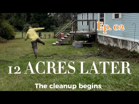 Clearing 12 Acres of Overgrown Land (Before the Real Work Begins)