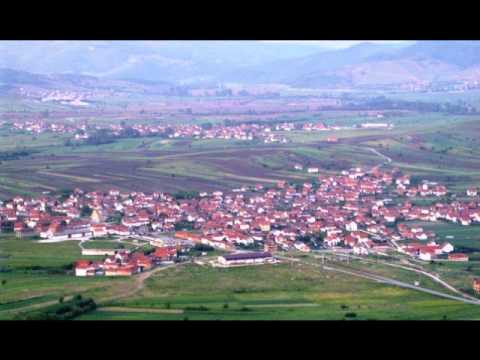 Zuca Arsic - Bolna Mitra