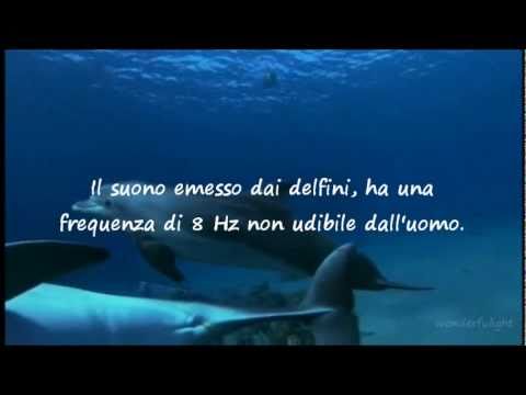 Liberarsi da pigmentazione su risposte di faccia Decolorazione alla panna di pelle in posti intimi