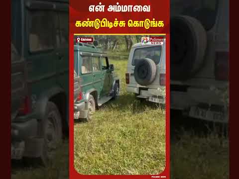 எங்க அம்மாவ கண்டு பிடிச்சு கொடுங்க #Shorts #Elephant  #polimernews