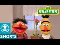 Sesame Street Bert And Ernie Grow A Flower